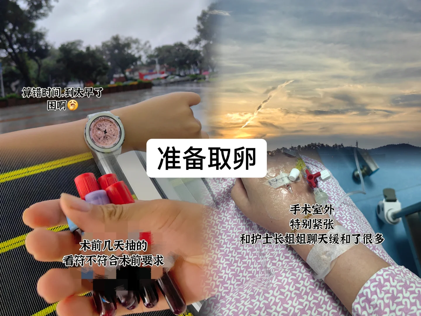 取卵后｜终于理解能一直生娃的人了