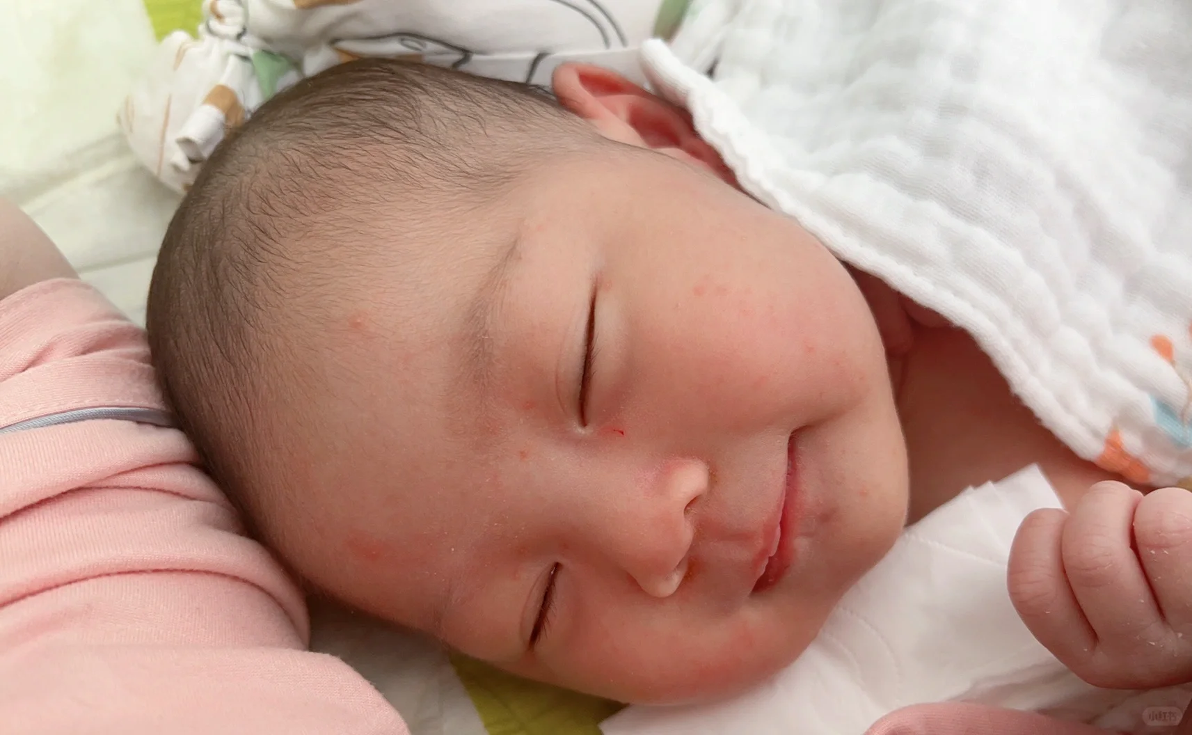 从胎停到一路绿灯抱娃这两年我经历了什么,格鲁吉亚中国代孕机构,试管代孕哪家最好